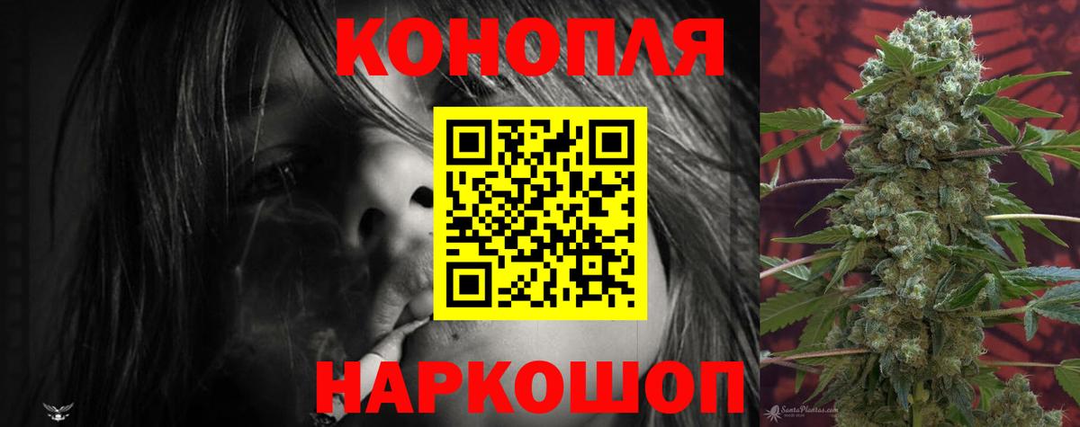 Бошки Шишки сатива  Шишки марихуана конопля  Бошки Шишки конопля  Шарыпово  Вход с VPN 